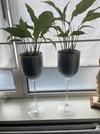 Glazen kelk plantenpotten grijs/glas 50cm hoog, Ophalen, Overige kleuren, 50 tot 75 cm, Glas