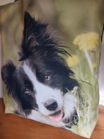Tas ' Border Collie ' ( Sint of Kerstkado), Dieren en Toebehoren, Ophalen of Verzenden, Nieuw