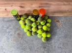 Tennisballen, Ophalen, Gebruikt, Hondenballen