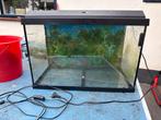 Aquarium Jewel, Ophalen, Leeg aquarium