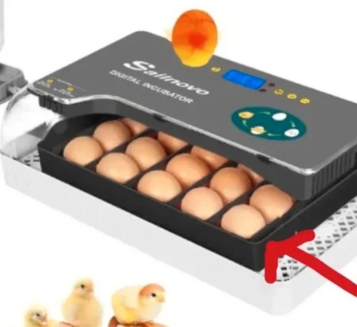 Nieuw slimme broedmachine, Dieren en Toebehoren, Pluimvee | Toebehoren, Nieuw, Broedmachine, Ophalen of Verzenden