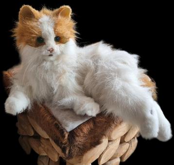 Interactieve Robot Poes - Knuffelmaatje beschikbaar voor biedingen