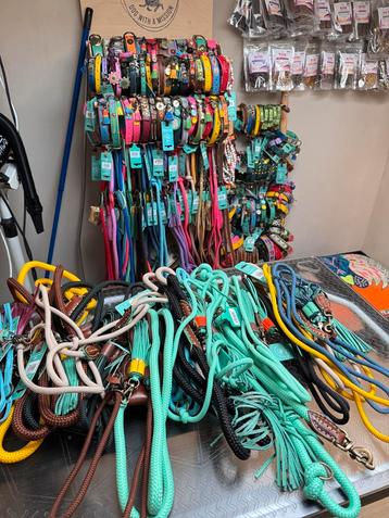 DWAM halsbanden maat XL beschikbaar voor biedingen