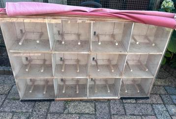Tentoonstelling kast met doek beschikbaar voor biedingen