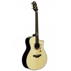 Crafter G-1000CE Twin Birds gitaar, Nieuw, Ophalen of Verzenden, Met koffer, Western- of Steelstringgitaar