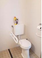 Opklapbaar toiletbeugel en extra handvat, Ophalen, Zo goed als nieuw