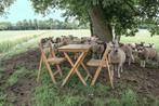 70+ Vintage houten horeca klapstoelen V. Stokkum  77, Ophalen of Verzenden, Gebruikt, Bruin, Vijf, Zes of meer stoelen