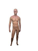 Handgeschilderde realistische mannequin, Assen, Ophalen of Verzenden, Info@realistischemannequin.nl, Realistische mannequin