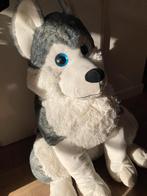 Knuffel husky., Ophalen of Verzenden, Zo goed als nieuw, Overige typen