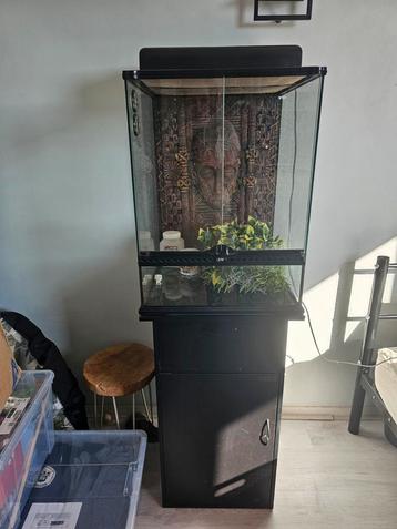 Terrarium 45x45x60 exo terra met toebehoren  beschikbaar voor biedingen
