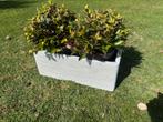 Diverse bloembakken plantenbakken Capi nieuw, Tuin en Terras, Ophalen, Kunststof, Minder dan 30 cm, Minder dan 60 cm