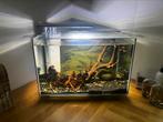 Prachtig aquarium 70 liter Superfish Quadro compleet, Dieren en Toebehoren, Vissen | Aquaria en Toebehoren, Ophalen of Verzenden