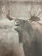 Wanddecoratie - Landelijk Doek, Ophalen, Zo goed als nieuw