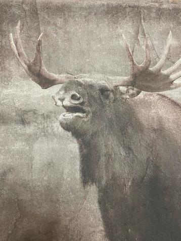 Wanddecoratie - Landelijk Doek beschikbaar voor biedingen