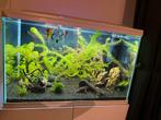 aquarium 150 liter met meubel – complete set, Dieren en Toebehoren, Vissen | Aquaria en Toebehoren, Ophalen, Zo goed als nieuw