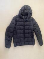 Pufferjack heren - Donkerblauw / Marine - Medium - Nieuw, Kleding | Heren, Nieuw, Ophalen of Verzenden, Hot Buttered, Maat 48/50 (M)