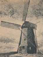 43767	Beveland	Korenmolen	molen	_Nette oude kaart Onbeschrev, Verzamelen, Ansichtkaarten | Nederland, Zeeland, Ongelopen, Ophalen of Verzenden