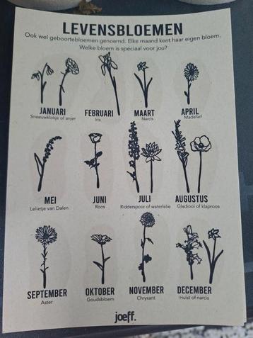 Joeff Levensbloemen beschikbaar voor biedingen