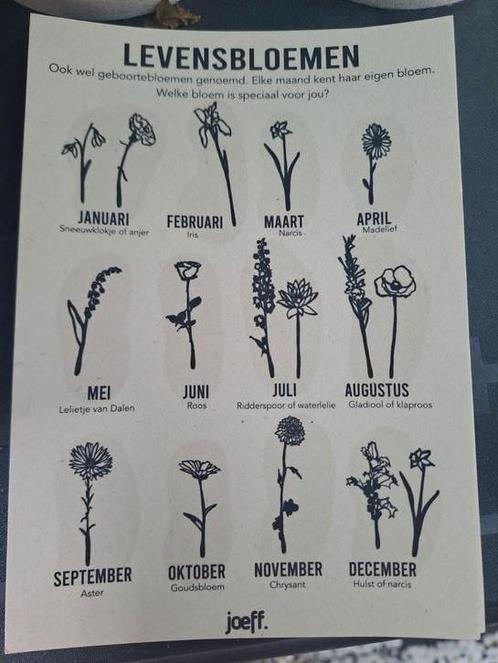 Joeff Levensbloemen, Huis en Inrichting, Overige Huis en Inrichting, Nieuw, Ophalen of Verzenden