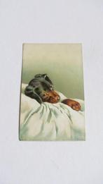 Beetje Ziek ?, Verzamelen, Ophalen of Verzenden, Voor 1920, Ongelopen, Overige thema's