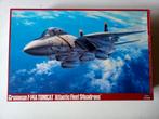 Hasegawa 1/48 Grumman F-14A Tomcat, Hasegawa, Gebruikt, Ophalen of Verzenden, Groter dan 1:72
