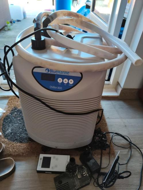 BlueMarine Chiller 800 koeler voor aquarium, Dieren en Toebehoren, Vissen | Aquaria en Toebehoren, Zo goed als nieuw, Ophalen
