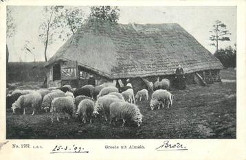 (701-103-025) Almelo beschikbaar voor biedingen