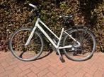 Sportfiets- specialized - dames, Ophalen, Gebruikt, 15 tot 20 versnellingen, Overige merken