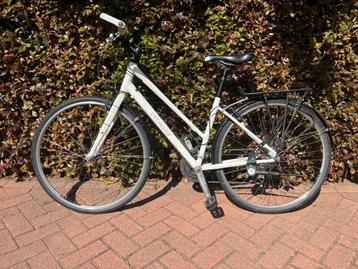 Sportfiets- specialized - dames beschikbaar voor biedingen