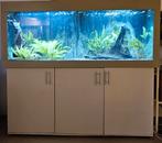 Aquarium 160 x 60 x 60cm plus ombouw, filters, Ophalen, Gebruikt, Plant(en), Steen of Hout