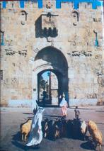 The Holy Bible, Ophalen of Verzenden, Gelezen, Christendom | Protestants