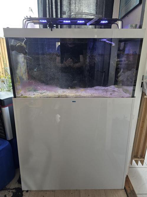 Zeeaqarium 100-55-55, Dieren en Toebehoren, Vissen | Aquaria en Toebehoren, Zo goed als nieuw, Leeg aquarium, Ophalen of Verzenden