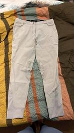 EquiTheme rijbroek maat 42, Dressuur, Zo goed als nieuw, Dames, Onderkleding