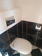 vrijhangend Sphinx toilet en hoekfontein, Ophalen, Gebruikt