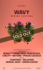2x Wavy spring festival Tickets, Tickets en Kaartjes, Evenementen en Festivals, Twee personen