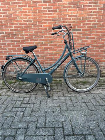 Cortina Roots transport fiets beschikbaar voor biedingen