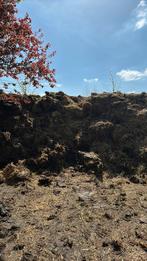 Biologische mest uit potstal GRATIS, Ophalen, Mest