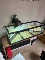 Aquarium schilpad of vissen 104cm, Dieren en Toebehoren, Vissen | Aquaria en Toebehoren, Ophalen of Verzenden