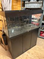 Juwel Rio 180 met kast, Dieren en Toebehoren, Vissen | Aquaria en Toebehoren, Ophalen, Gebruikt, Leeg aquarium