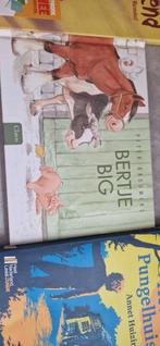 Bertje big,het pungel huis, Boeken, Ophalen of Verzenden