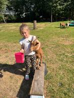 3 leuke geitjes, April, Vrouwelijk