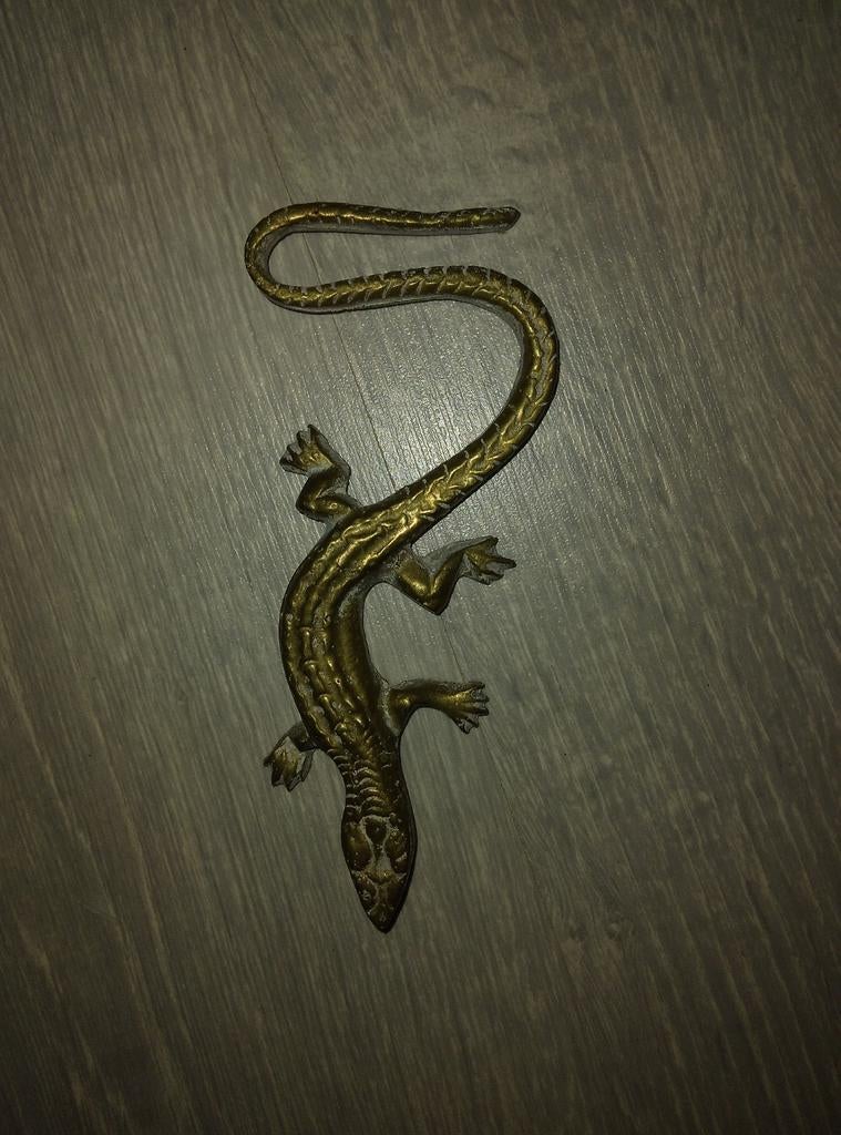 Koperen salamander, Ophalen of Verzenden