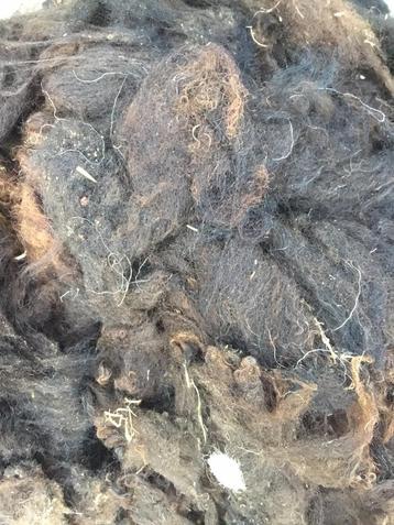 Schapenwol als bemesting voor de tuin en helpt tegen slakken beschikbaar voor biedingen