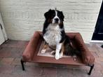 Hondenbed met rand, Dieren en Toebehoren, Ophalen, Zo goed als nieuw