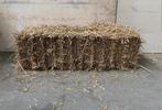Kleine pakjes tarwe stro te koop., Dieren en Toebehoren, Dierenvoeding, Ophalen of Verzenden, Vee