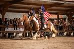 Horsemanship trainingen voor paard en ruiter, Diensten en Vakmensen, Dieren | Paarden | Verzorging, Oppas en Les, Paardrijles of Ponykampen