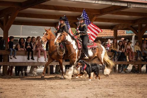 Horsemanship trainingen voor paard en ruiter, Diensten en Vakmensen, Dieren | Paarden | Verzorging, Oppas en Les, Gedragstraining