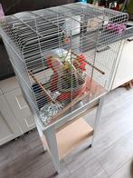 Vogelkooi, Dieren en Toebehoren, Vogels | Hokken en Kooien, Ophalen, Metaal, Vogelkooi
