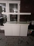 Mooie witte Juwel rio 450, Dieren en Toebehoren, Vissen | Aquaria en Toebehoren, Ophalen, Zo goed als nieuw, Leeg aquarium