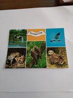 TERSCHELLING.  1980. 5 AFBEELDINGEN, Ophalen of Verzenden, 1980 tot heden, Waddeneilanden